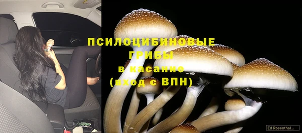 экстази Алзамай