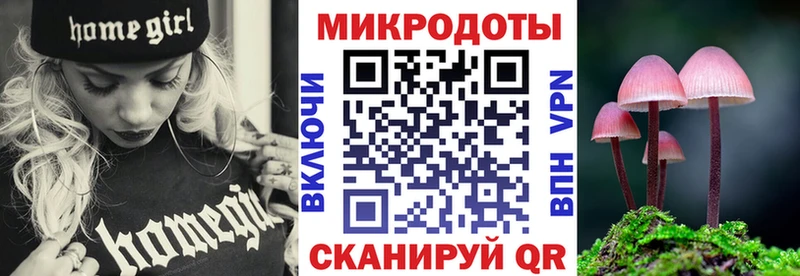 маркетплейс телеграм  где найти   Берёзовка  Псилоцибиновые грибы мицелий 
